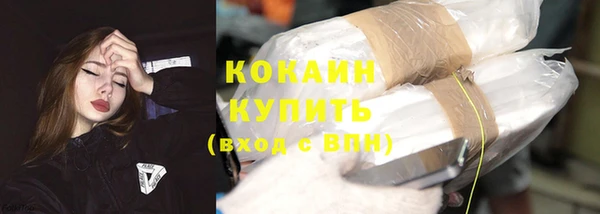 дурь Вяземский