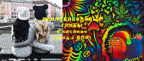 ECSTASY Вязьма