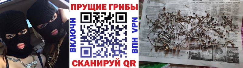 Псилоцибиновые грибы прущие грибы  Купить где  Нытва 